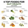 Best foods for gut health