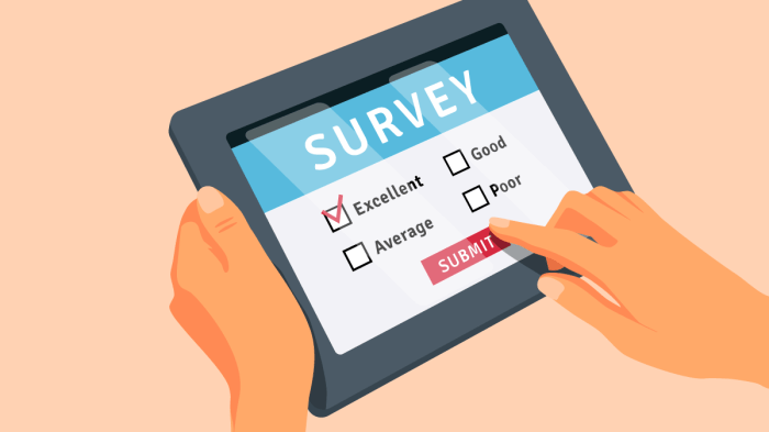 Creating Online Surveys