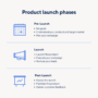 Developing Product Launch Plans