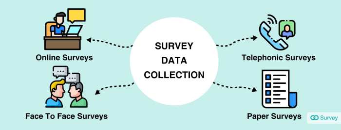 Using Surveys to Collect Customer Data