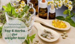 Herbs for promoting weight loss naturally