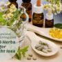 Herbs for promoting weight loss naturally