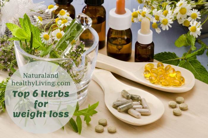 Herbs for promoting weight loss naturally