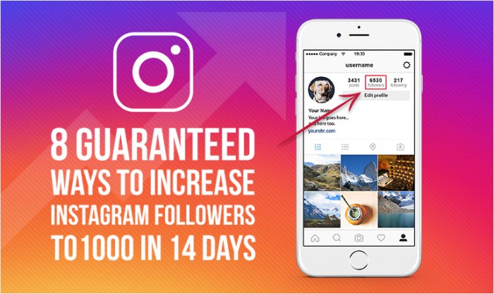 Increasing Instagram Followers